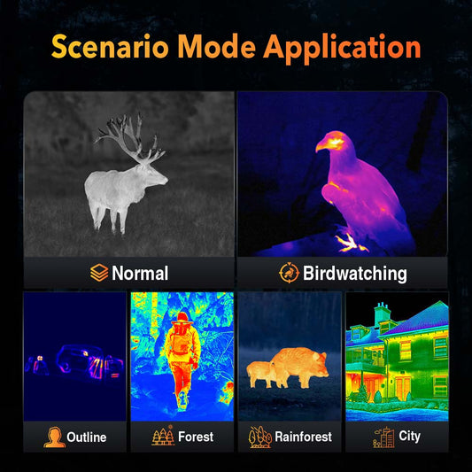Unlocking Thermal Imaging: A Deep Dive from Principle to Application