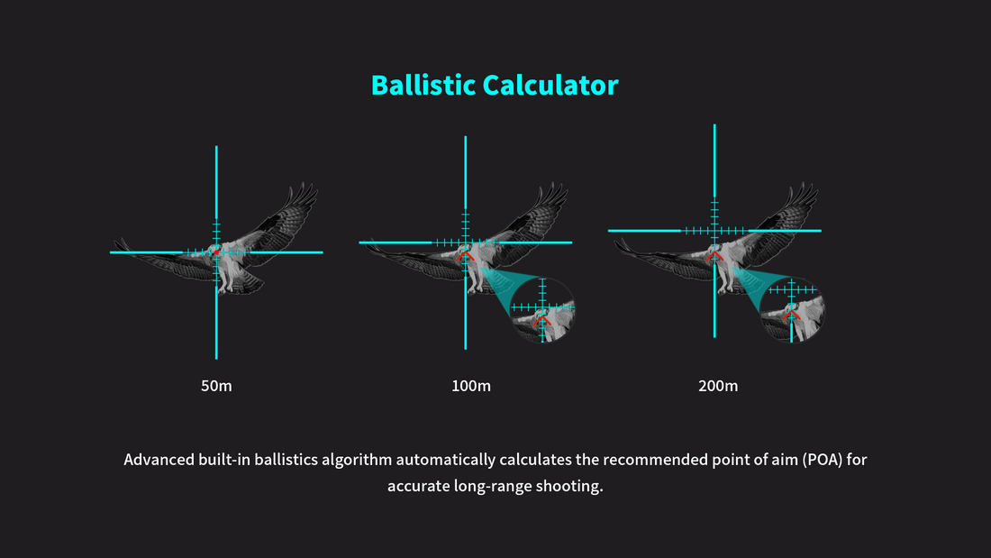 Ballistic Calculation Explanation