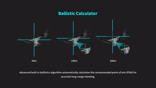 Ballistic Calculation Explanation