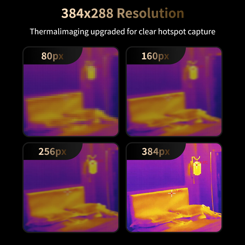 Z6D
