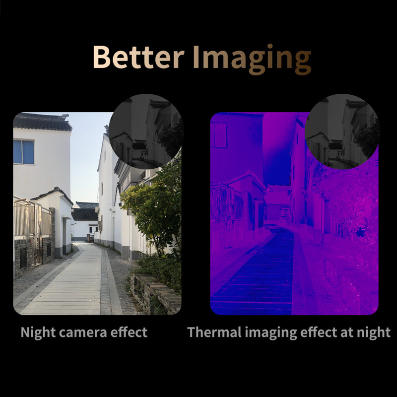 Z6D