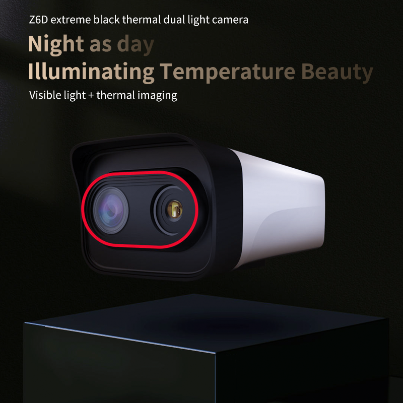 Z6D