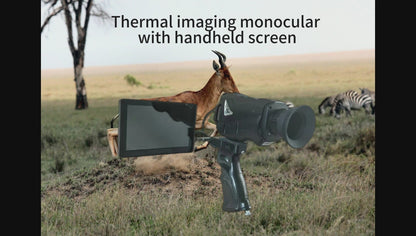 Handheld Screen